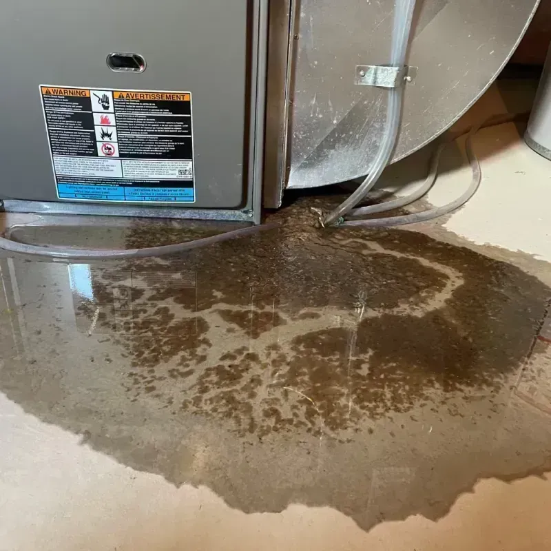 Appliance Leak Cleanup in Monroe, GA